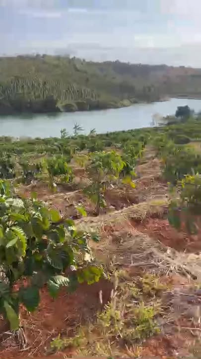 Đất nền tại Xã Quảng Trực, Huyện Tuy Đức, 7000m² giá 900 triệu - Cơ hội đầu tư tuyệt vời!