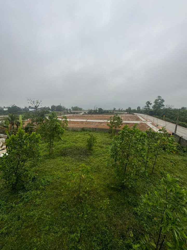 Đất thổ cư 261m² mặt tiền DT512 tại Tượng Sơn, Nông Cống - Cơ hội đầu tư tuyệt vời!