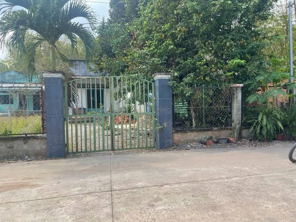 Đất nền An Long Phú Giáo 504m² giá chỉ 1 tỷ - Đầu tư sinh lời ngay!