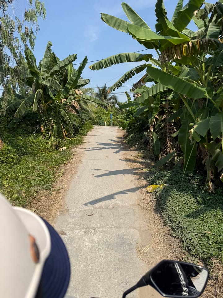 Đất Farm 17.000m² tại Ấp Thống Nhất, Huyện Hồng Dân - Giá Thỏa Thuận, Tiện Ích Học Tập