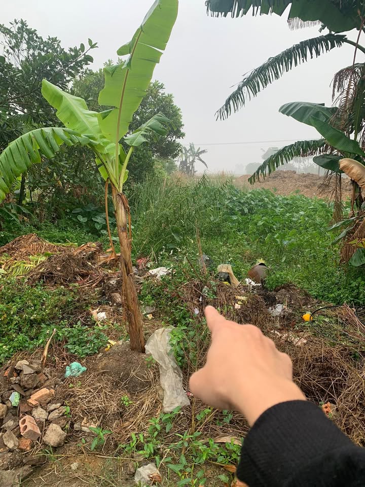 Đất nền 120m² tại xã Quảng Văn, huyện Quảng Xương - Giá chỉ 900 triệu!