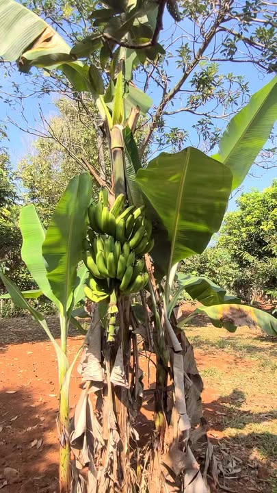 Đất nền 100m² tại Bình Lộc, Long Khánh - Cơ hội đầu tư an toàn!