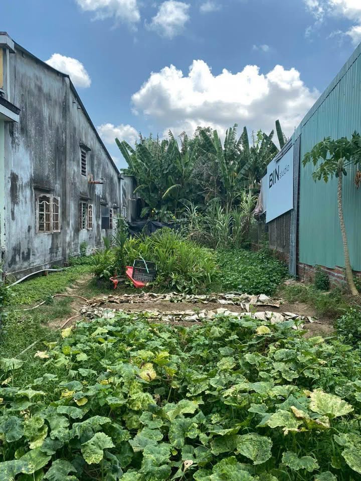 Đất nền đường Trần Cao Vân nối dài, 120m² giá 1.3 tỷ - Cơ hội đầu tư hấp dẫn!