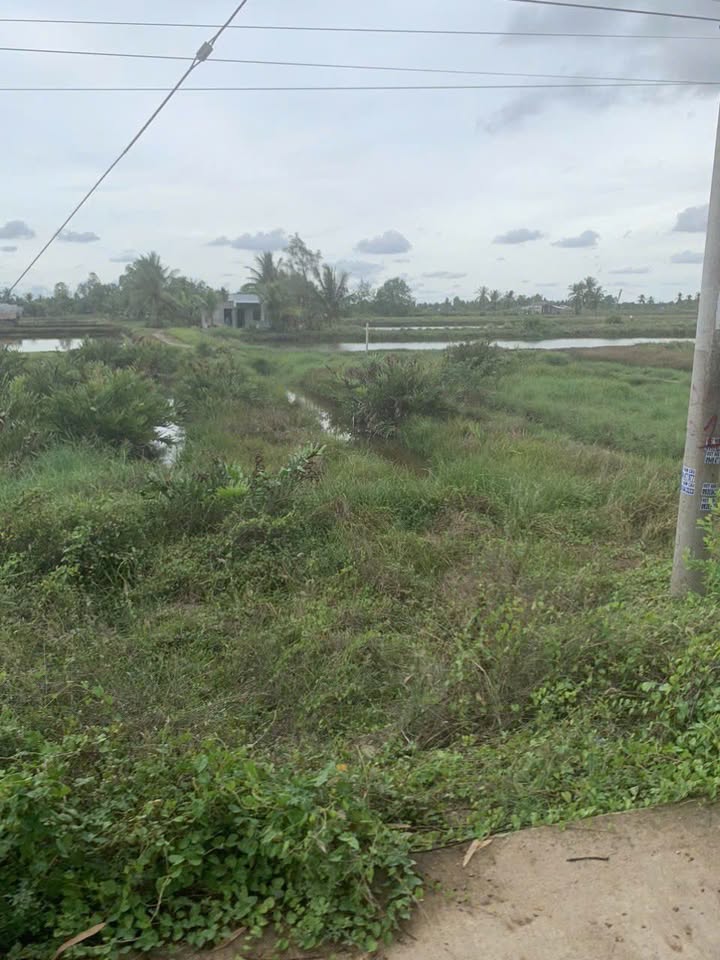 Đất nền mặt tiền Tỉnh 940, Thạnh Phú, 3690m² - Giá đầu tư hấp dẫn!