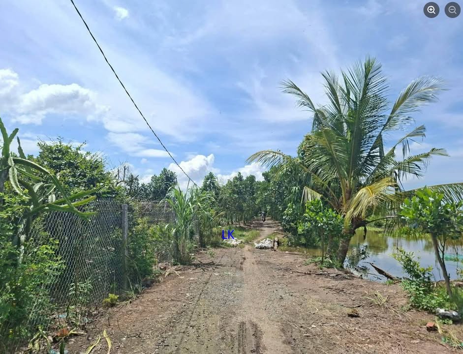 Đất lúa 26.000m² tại xã Trường Xuân, Tháp Mười - Giá chỉ 3.9 tỷ!