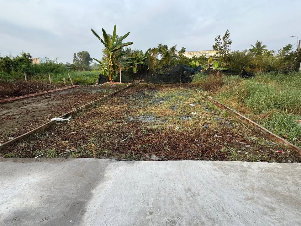 Đất nền xã Mỹ Lộc, Cần Giuộc 96m² giá 790 triệu - Tiềm năng đầu tư cao!