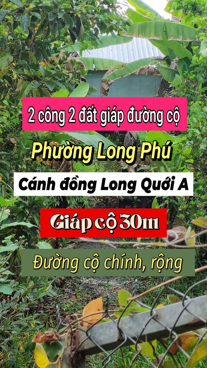 Đất vườn 2175m² tại Phường Long Phú, An Giang - Giá chỉ 1.087 tỷ!