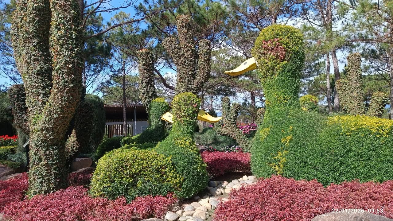 Đất nền lô góc 123m² tại Đồi Vua Sơn Đông - Giá chỉ 1.7 tỷ