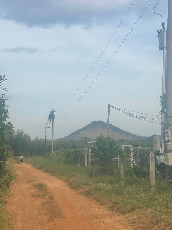 Đất nền Farm 45.000m² tại Hàm Kiệm, Bình Thuận - Giá chỉ 4.185 tỷ - Cơ hội đầu tư hấp dẫn!