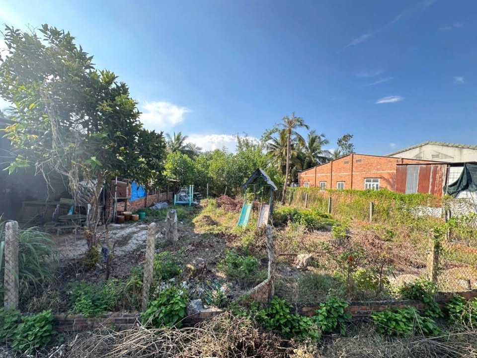 Lô đất Ấp Bình Lương, Châu Thành 1332m² giá 70 triệu - Bán gấp chính chủ!