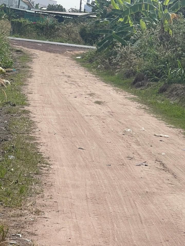 Đất nền Hòa Thành Tây Ninh 250m² giá 129 triệu - Cơ hội đầu tư hấp dẫn!