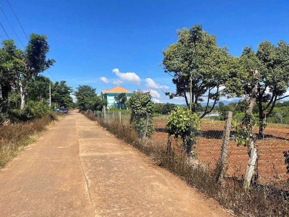 Đất nền trung tâm Tân Hội 1267m² giá 4.1 tỷ - Cơ hội đầu tư tuyệt vời!