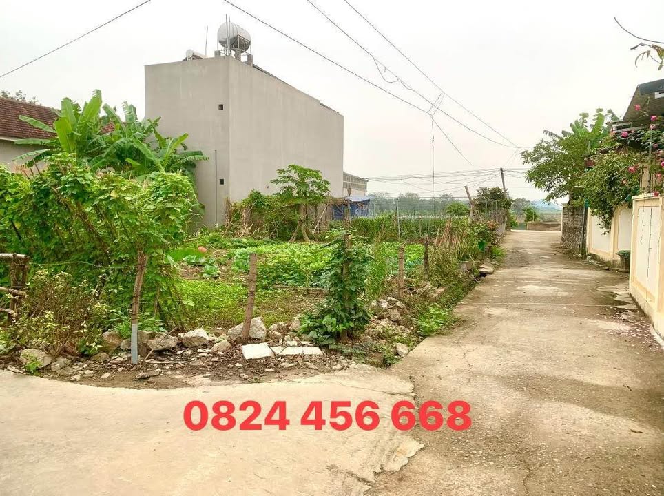 Đất nền liền kề Đê phố Giáng 200m² - Giá thương lượng hấp dẫn!