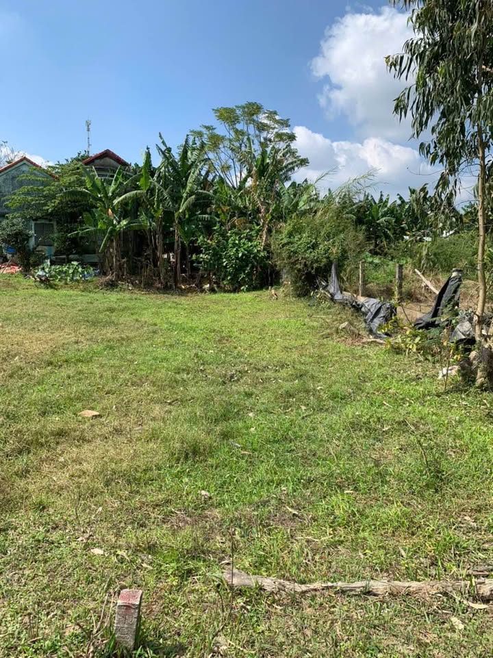 Đất Quang Hiện, Điện Hòa 100m² giá 590 triệu - Sổ đỏ chính chủ, đầu tư sinh lời!