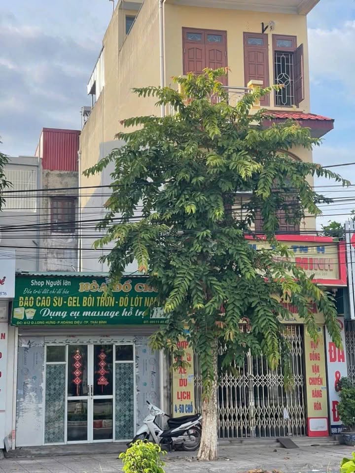 Đất mặt đường Long Hưng, Trà Lý, 68m² giá 3.5 tỷ - Kinh doanh sầm uất!