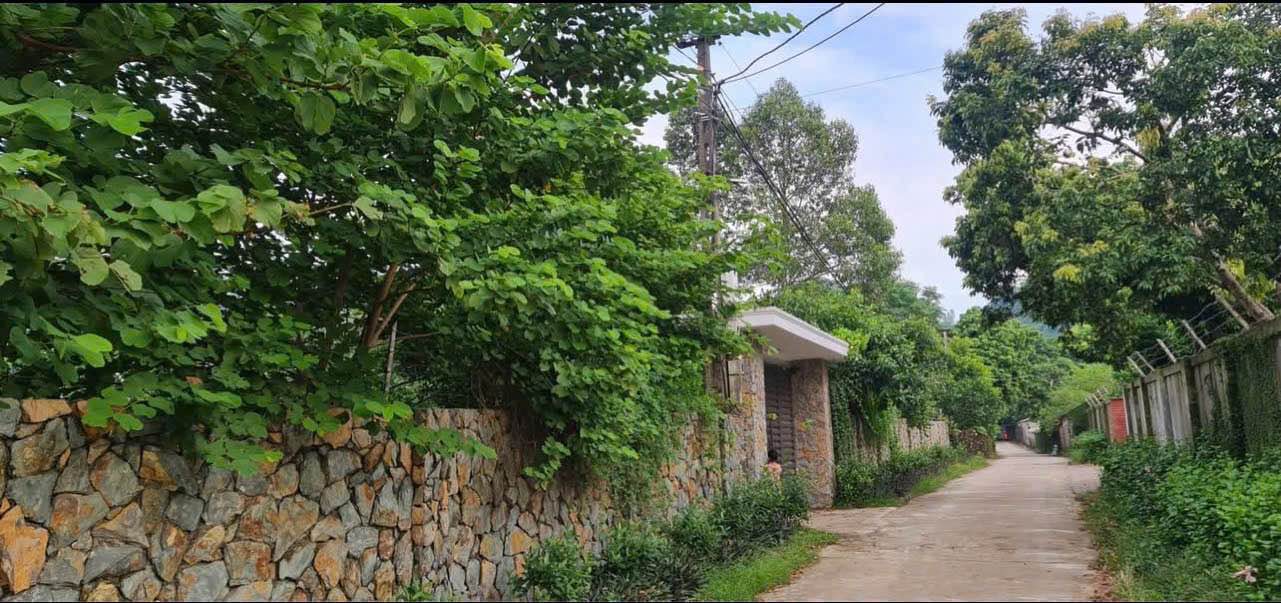 Nhà vườn đẹp tại Xóm Đá Bạc, Lương Sơn, Hòa Bình 1.530m² - Không gian lý tưởng cho nghỉ dưỡng