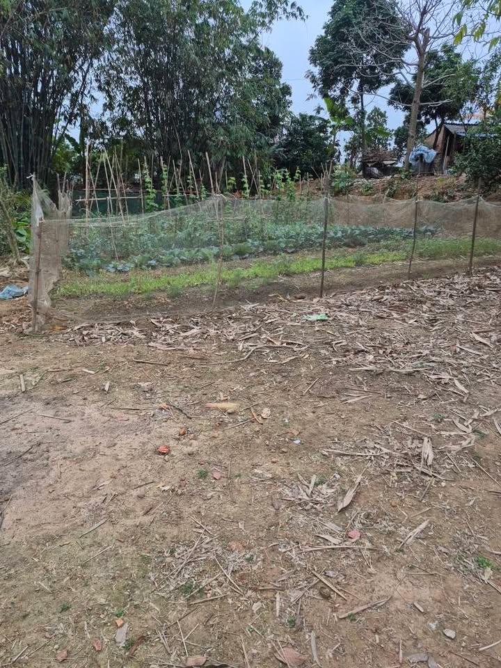 Đất nền 2400m² tại Xã Trung Giã, Huyện Sóc Sơn - Giá chỉ 6.84 tỷ