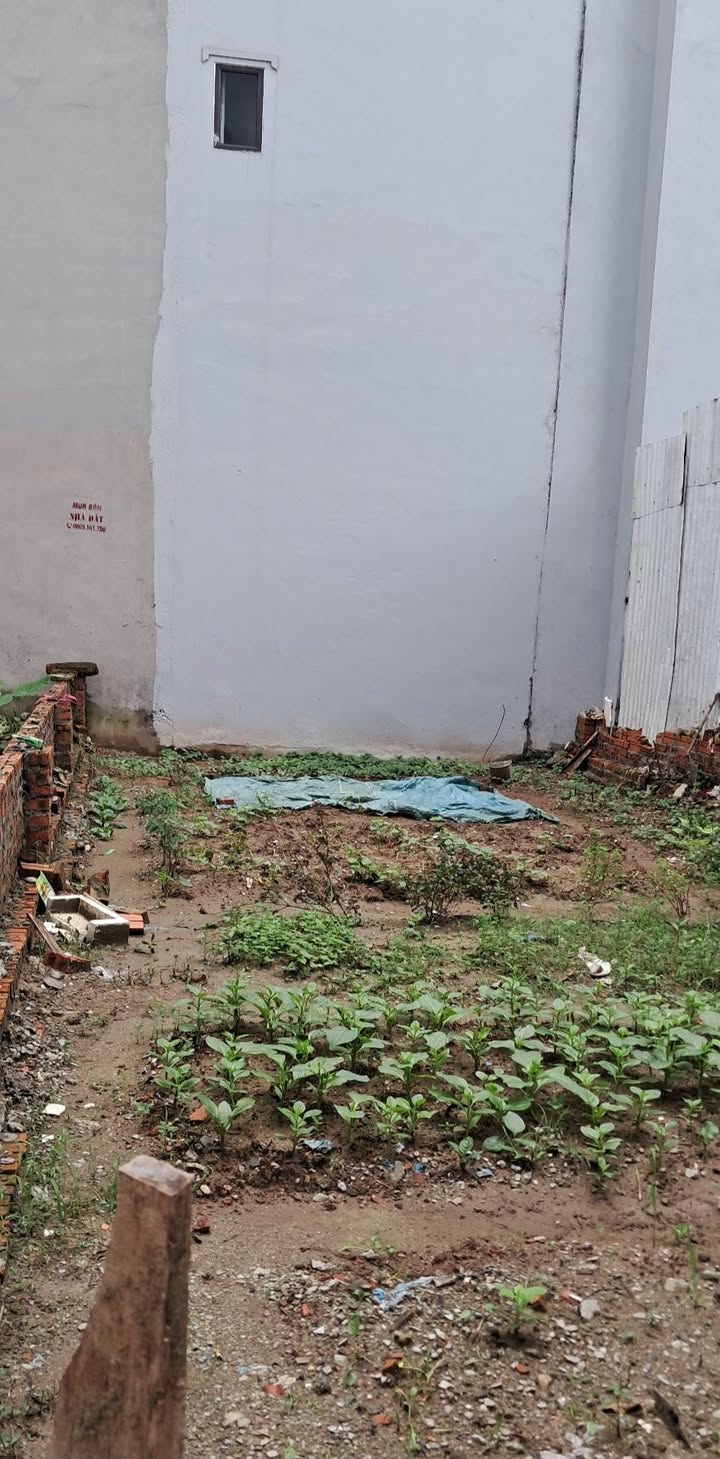 Đất Lệ Chi Gia Lâm 45m² giá 2.6 tỷ - Ô tô vào tận nơi!