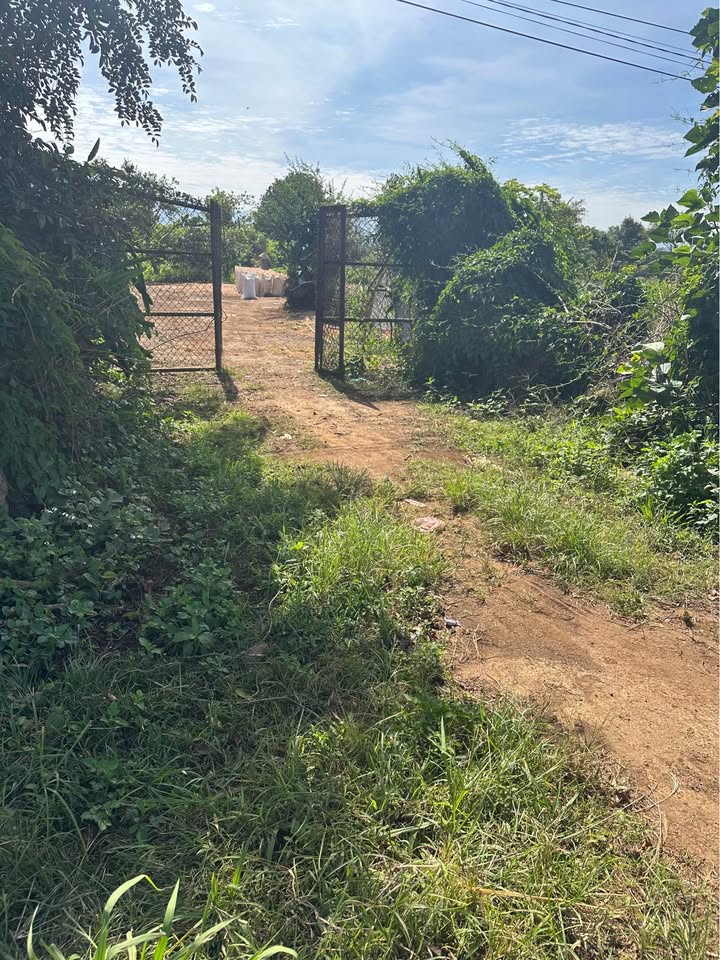 Đất thổ cư Thị trấn Di Linh 500m² giá 3.5 tỷ - Đường nhựa rộng rãi!