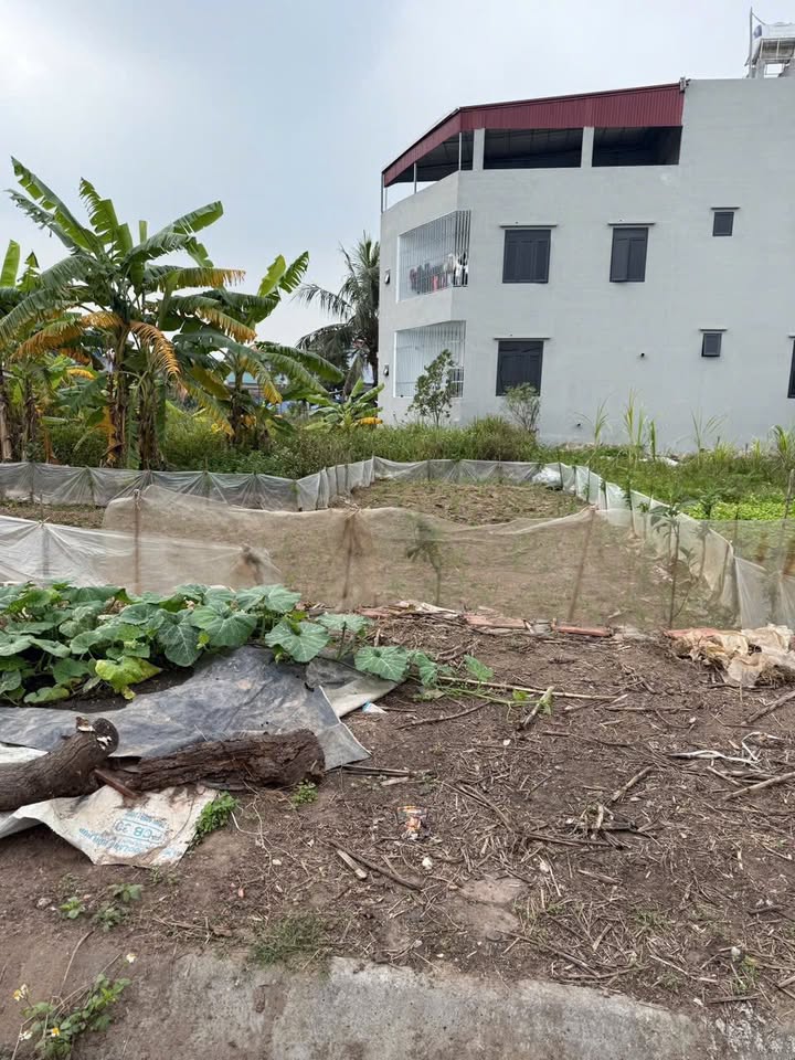 Đất đấu giá Kênh Cầu, Yên Mỹ 114m² giá chỉ 3 triệu/m² - Cơ hội đầu tư tốt!