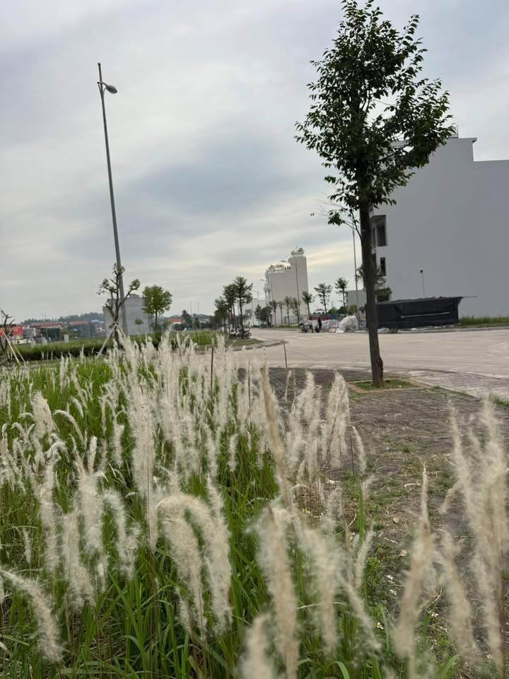 Đất nền Khu đô thị Thành Công Vườn Đào - 76.5m² chỉ 2.7 tỷ - Đầu tư sinh lời!