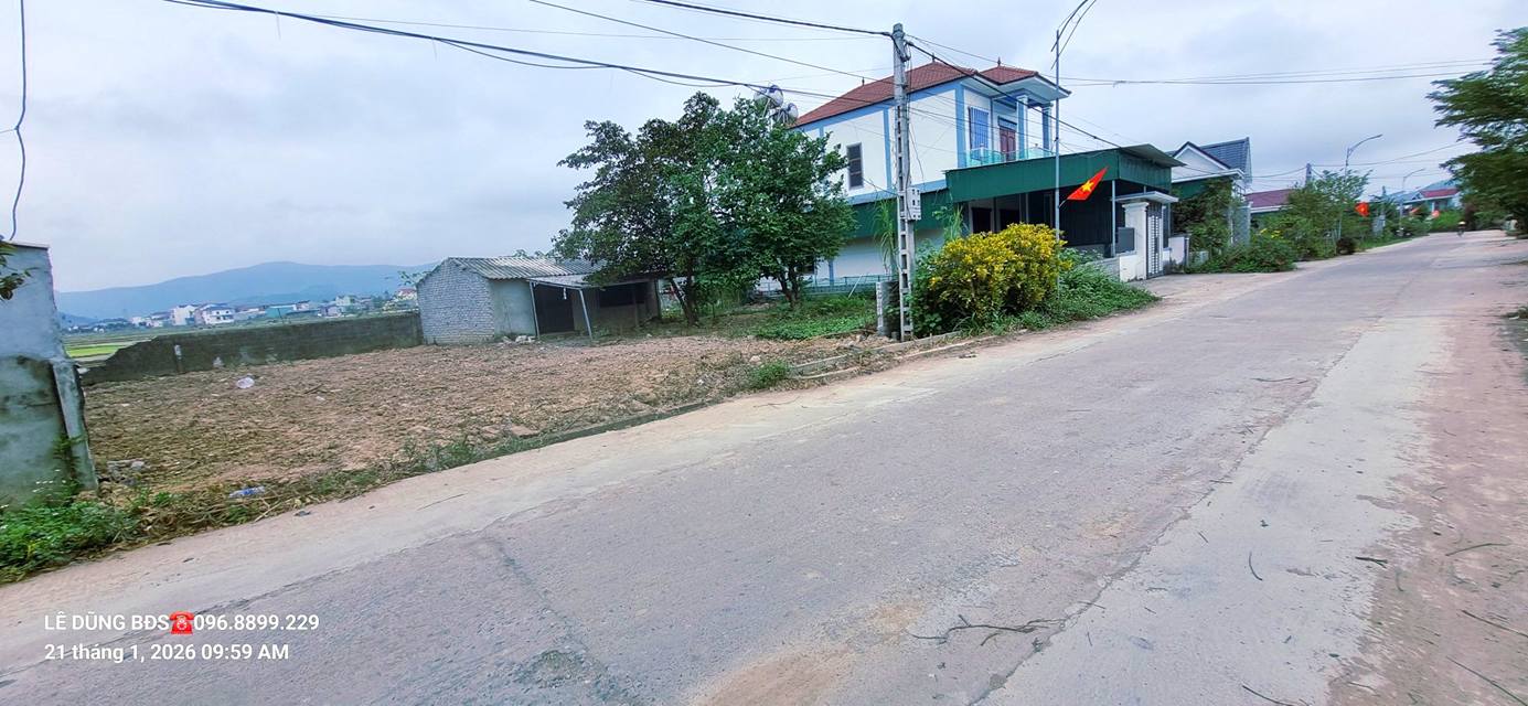 Đất nền xã Tân Thành, huyện Yên Thành, Nghệ An 247m² - Cơ hội đầu tư lý tưởng!