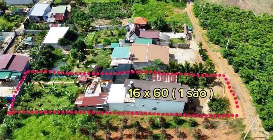 Lô đất Hẻm 221 Đoàn Thị Điểm 960m² giá 2.4 tỷ - Tiềm năng đầu tư lớn!