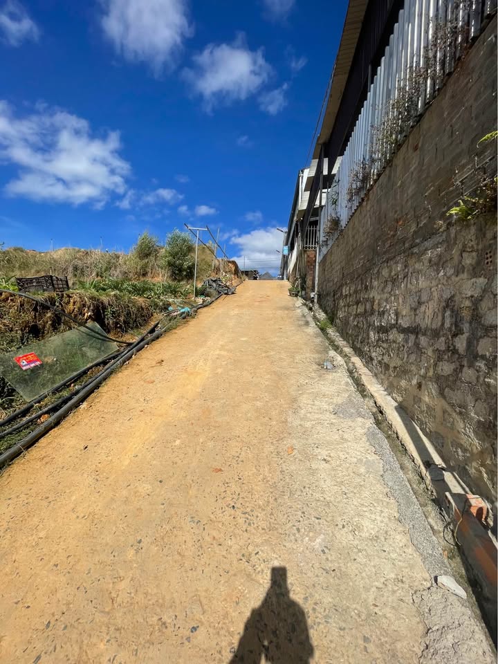 Nhà cấp 4 Phường 4 Đà Lạt 83m² giá 1.6 tỷ - Chính chủ cần bán gấp!