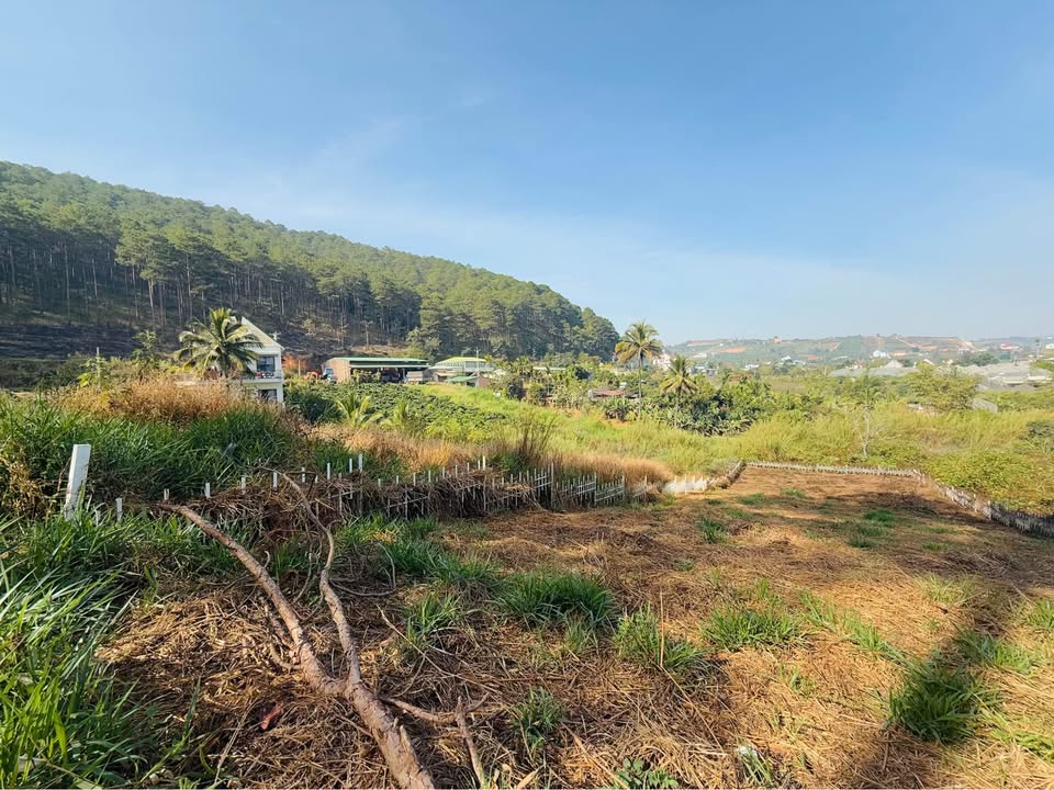 Đất ven Đà Lạt - Đường DT725 - 690m² giá chỉ 1.85 tỷ - Cơ hội vàng cho đầu tư!