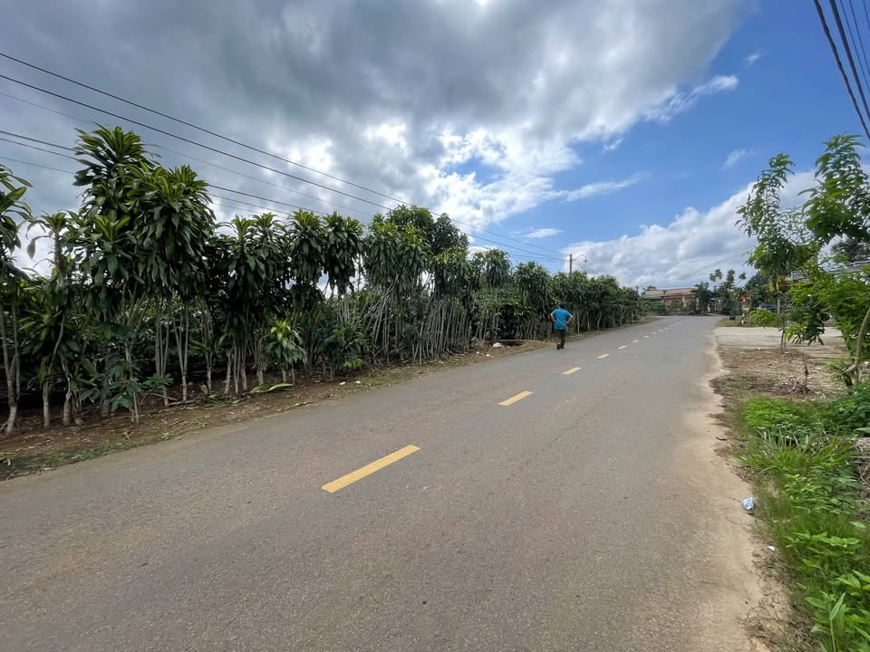 Đất nền thổ cư xã Lộc An, Bảo Lâm 495m² giá 2.8 tỷ - Đường lớn ô tô tránh nhau!