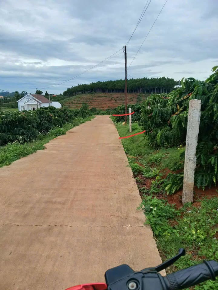 Đất thổ cư 100% tại Nam Hà, Lâm Hà 510m² giá chỉ 1.05 tỷ - Cơ hội đầu tư hấp dẫn!