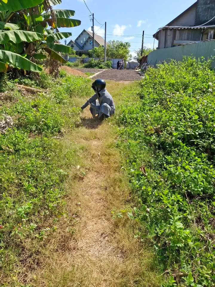 Đất nền Lộc An 103m² giá 499 triệu - Đầu tư sinh lời nhanh chóng!