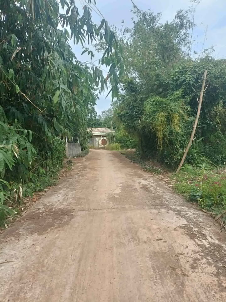 Đất nông nghiệp Vĩnh Hòa 10.000m² giá thỏa thuận - Diện tích lớn, trồng cây tốt!