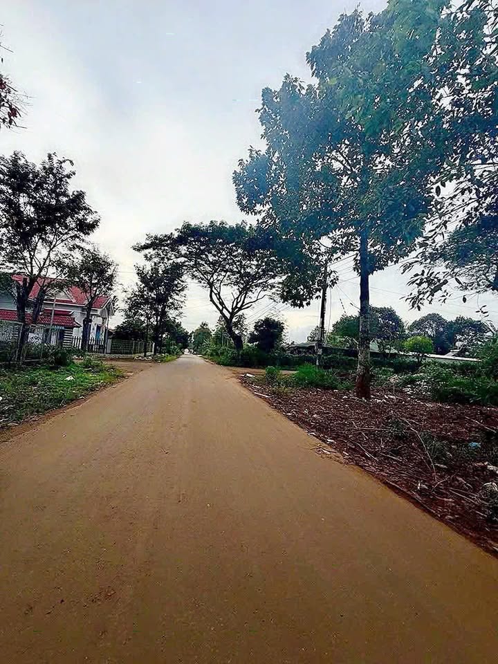 Đất thổ cư 150m² đường Trần Quang Khải, Ea Kar - Giá chỉ 1 tỷ!