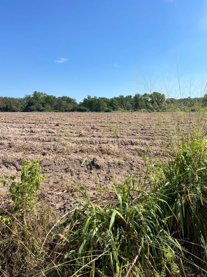 Đất nền chính chủ Lai Hưng Bàu Bàng 1100m² giá 2 tỷ - Đầu tư sinh lời ngay!