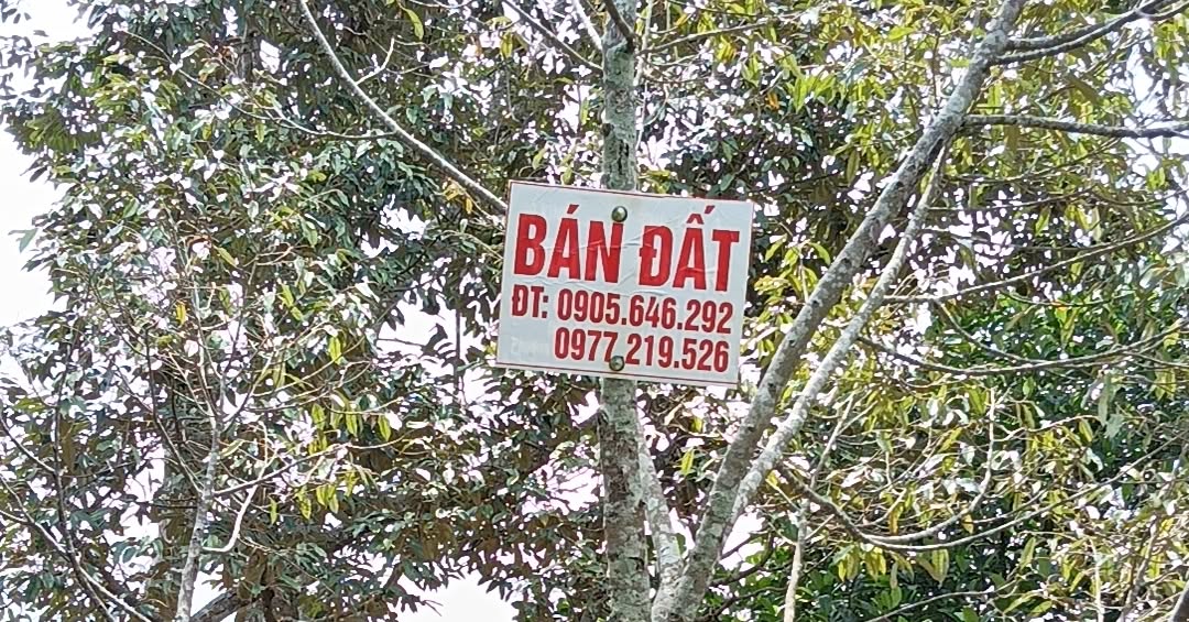 Đất hẻm 240 Phạm Ngọc Thạch, P. Thống Nhất 135m² giá 700 triệu - Cơ hội đầu tư hiếm có!