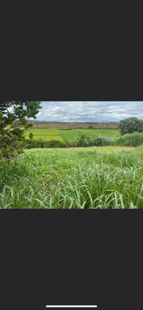 Đất nền mặt tiền Nguyễn Xí, Trà Đa 376m² giá 1 tỷ - Cơ hội đầu tư lý tưởng!