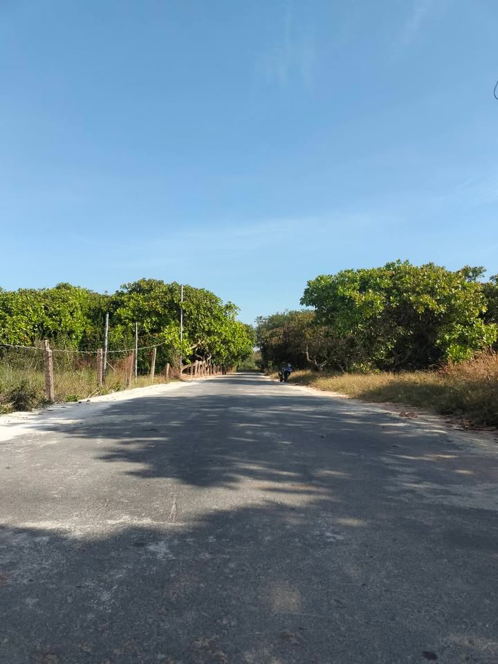 Đất nền Xã Hồ Tràm, Huyện Xuyên Mộc 3685m² - Cơ hội đầu tư hấp dẫn!