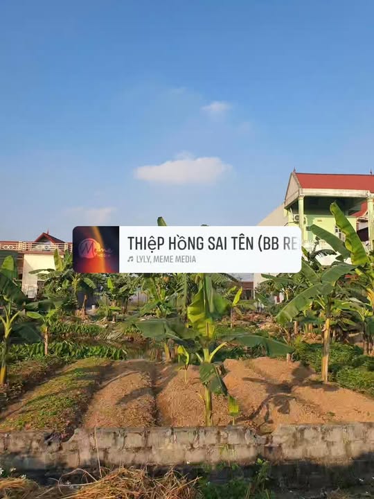 Đất thổ cư 120m² tại Thị trấn Quỹ Nhất, Nghĩa Hưng - Giá tốt, pháp lý rõ ràng!
