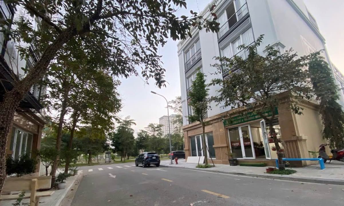 Shophouse Melinh Plaza Thanh Hóa 351m² giá 6 tỷ - Vị trí đẹp lung linh!