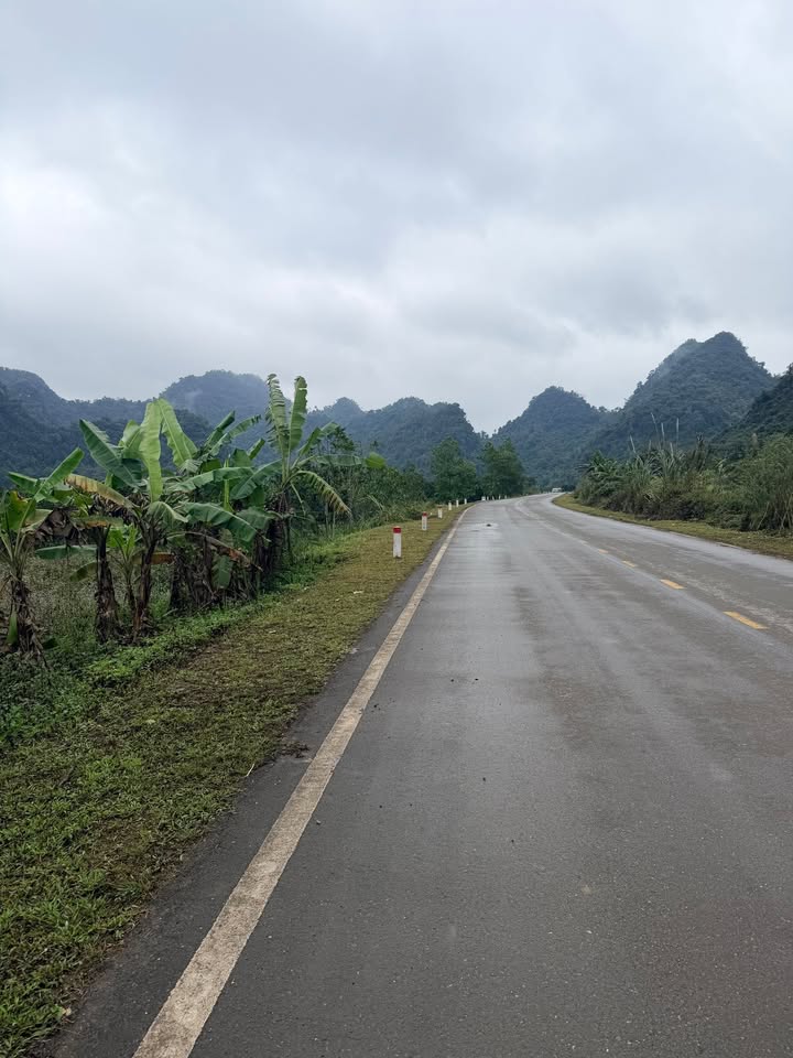 Đất vườn 6000m² tại Suối Hoa, Tân Lạc, Hoà Bình - Giá chỉ 2 tỷ VND!