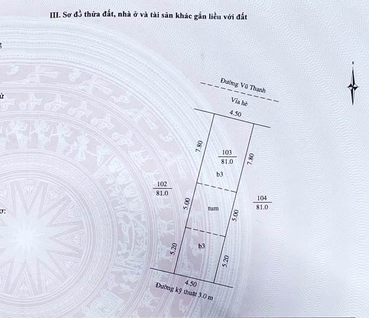 Nhà mặt phố Vũ Thạnh TP Hải Dương 81m² giá 6 tỷ - Kinh doanh sầm uất!