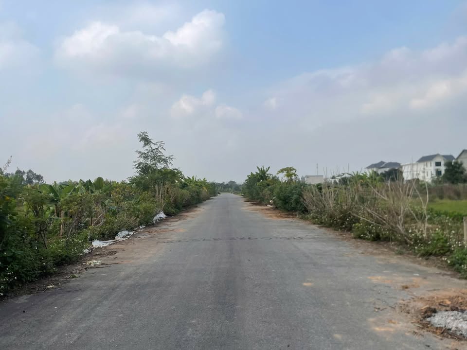 Đất nền Vĩnh Yên 105m² giá 3 tỷ - Vị trí đắc địa, giao thông thuận lợi!