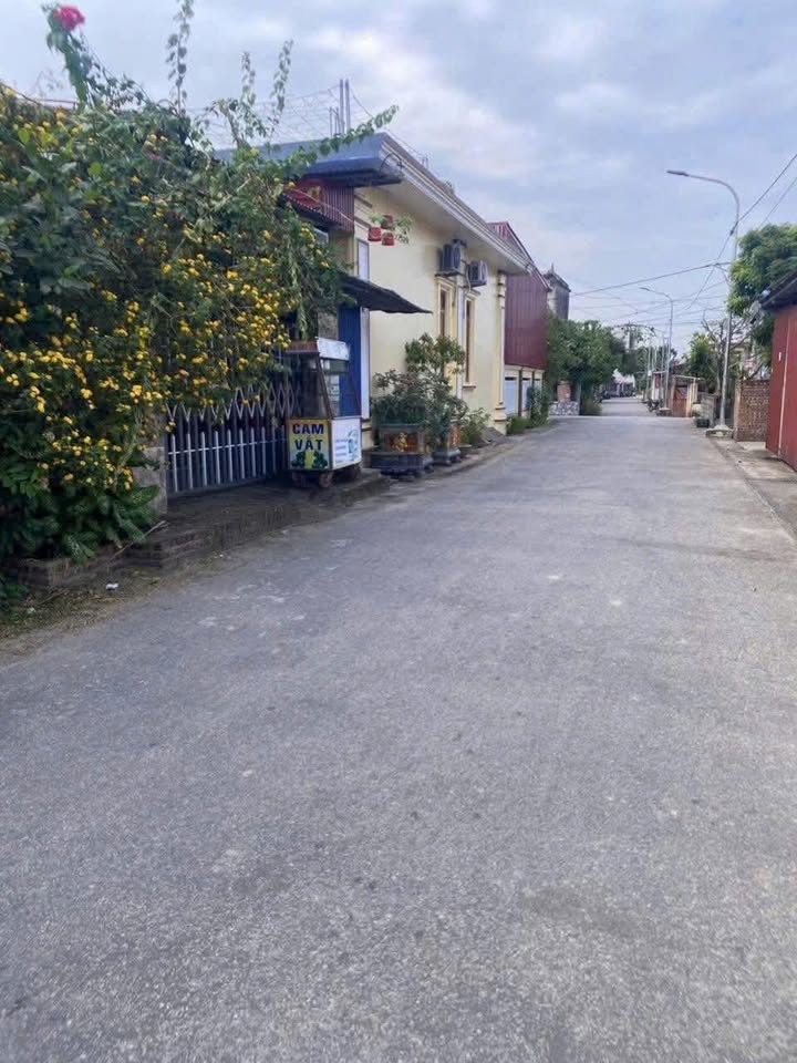 FrontHouse thôn Nguyệt Áng, An Lão 90m² giá 1.6 tỷ - Kinh doanh thuận lợi!