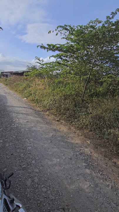 Đất nền Phường Quang Vinh, Biên Hòa 140m² giá chỉ 650 triệu - Cơ hội đầu tư tuyệt vời!