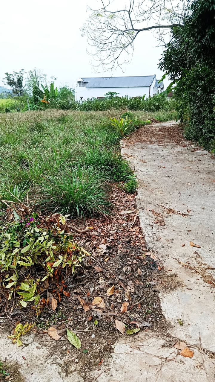 Đất nền 2 mặt tiền Quốc Lộ 48A, Thị xã Thái Hòa 300m² chỉ 300 triệu - Cơ hội đầu tư tuyệt vời!