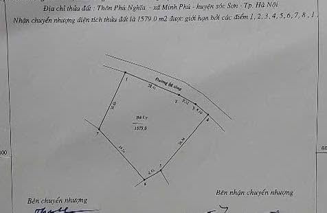 Xưởng sản xuất 1579m² tại Phú Nghĩa, Sóc Sơn - Giá tốt, sẵn sàng hoạt động!