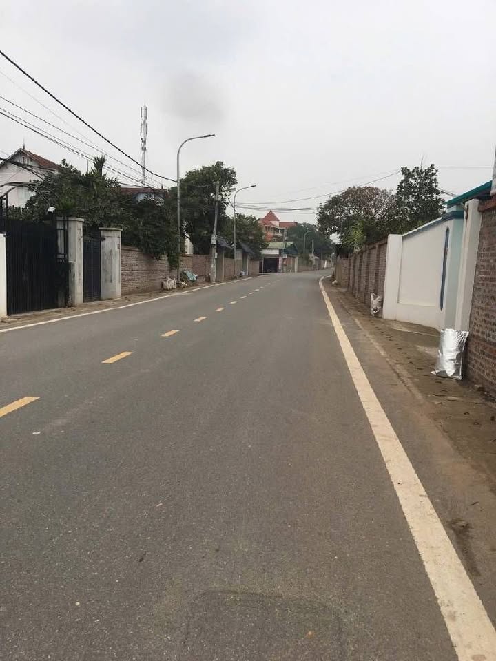 Đất nền Thanh Sơn, Minh Trí 100m² giá chỉ 2x triệu/m² - Sổ đỏ chính chủ!