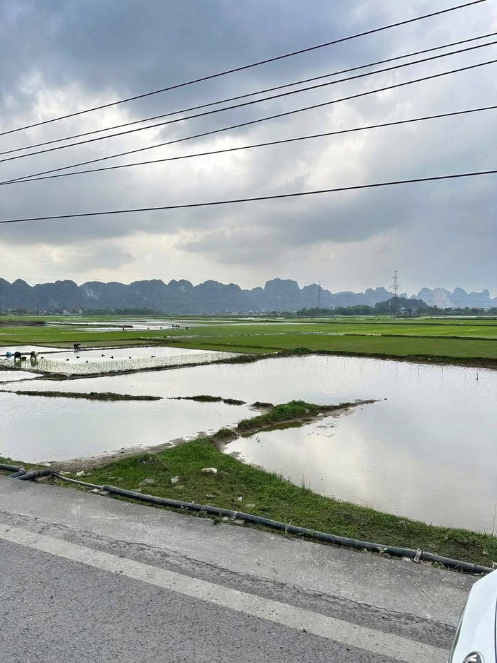 Đất thổ cư 200m² xã Gia Tường, Nho Quan giá 4 tỷ - Đầu tư sinh lời ngay!