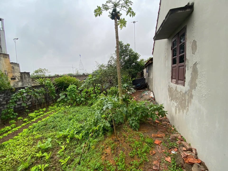 Đất nền Xã Đại Xuyên 100m² giá 2 tỷ - Đường ô tô tránh nhau thuận tiện giao thông!